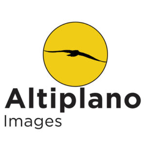 Logo ALTIPLANO