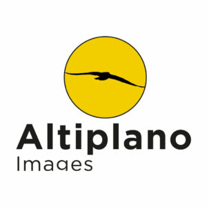 altiplano